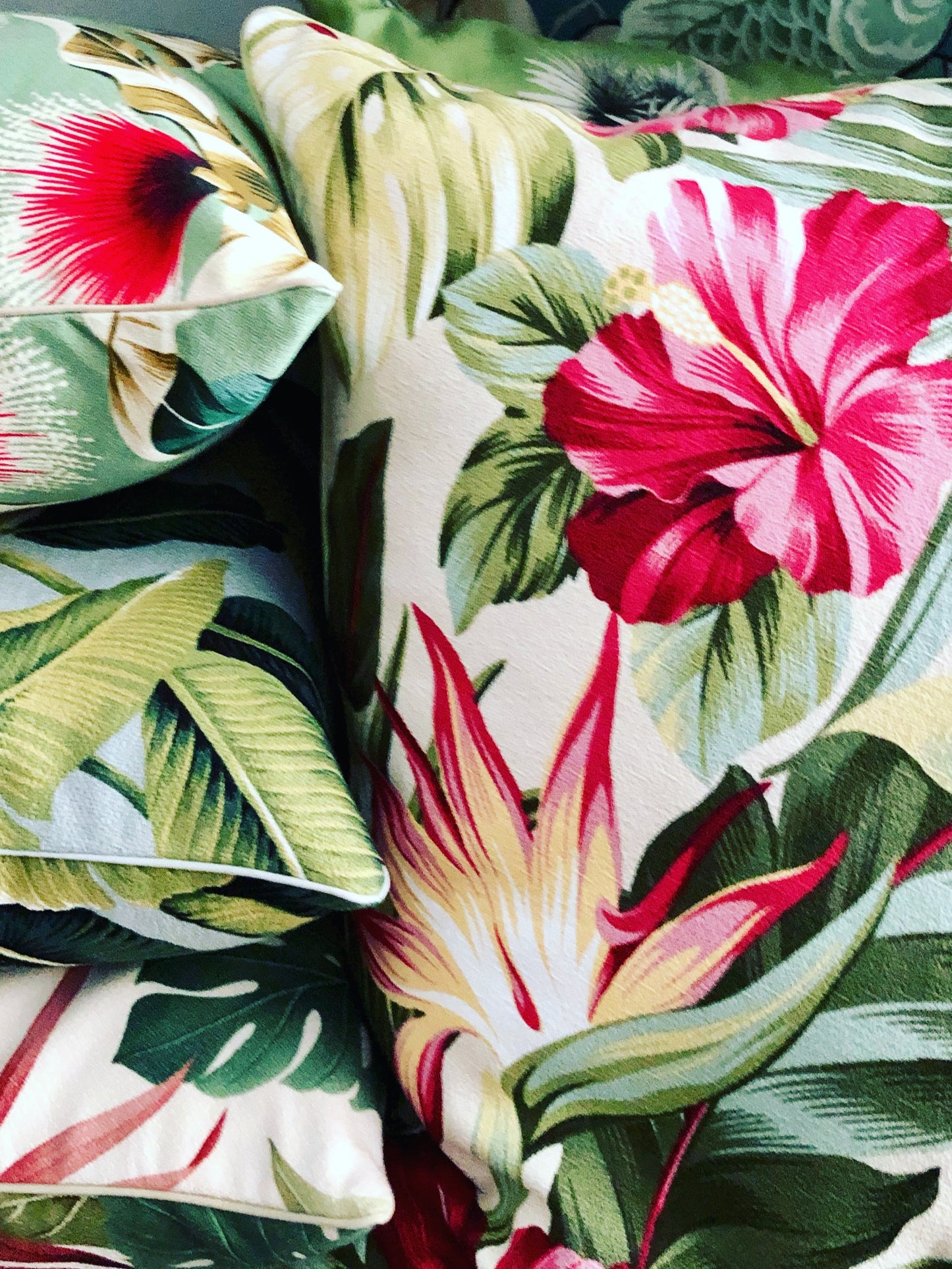 A set of cushions with a vibrant tropical hibiscus and bird of paradise design, featuring skinny green piping.