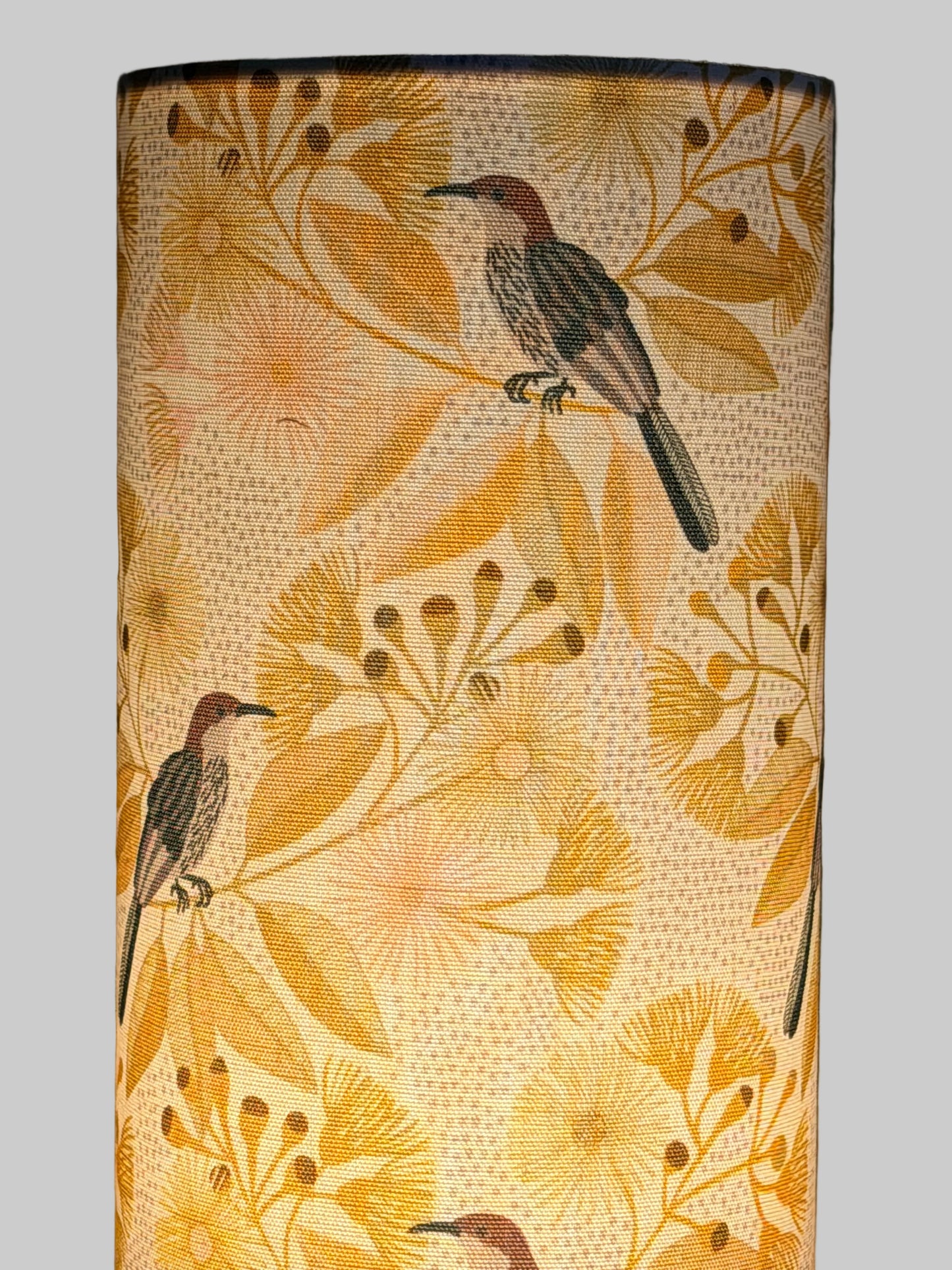 circle lamp honey eater lampshade