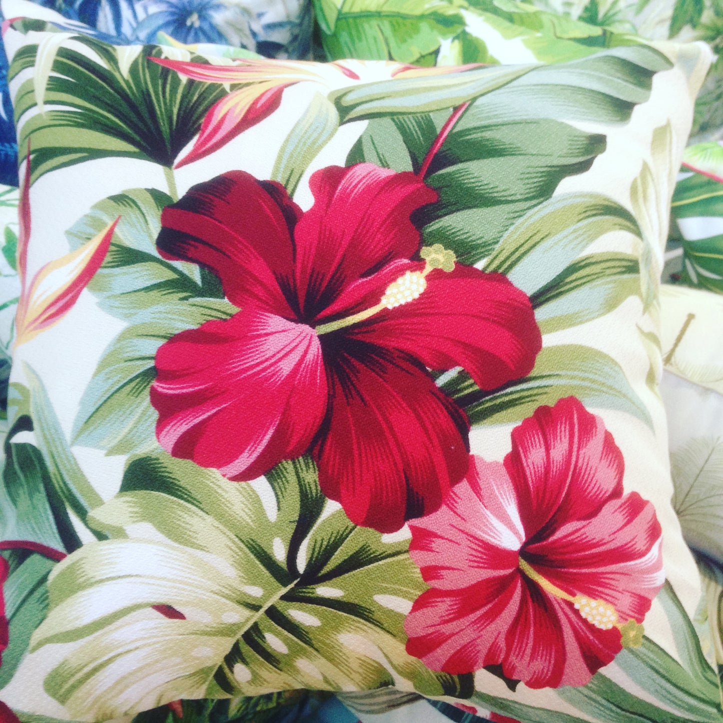 tropical hibiscus cushions