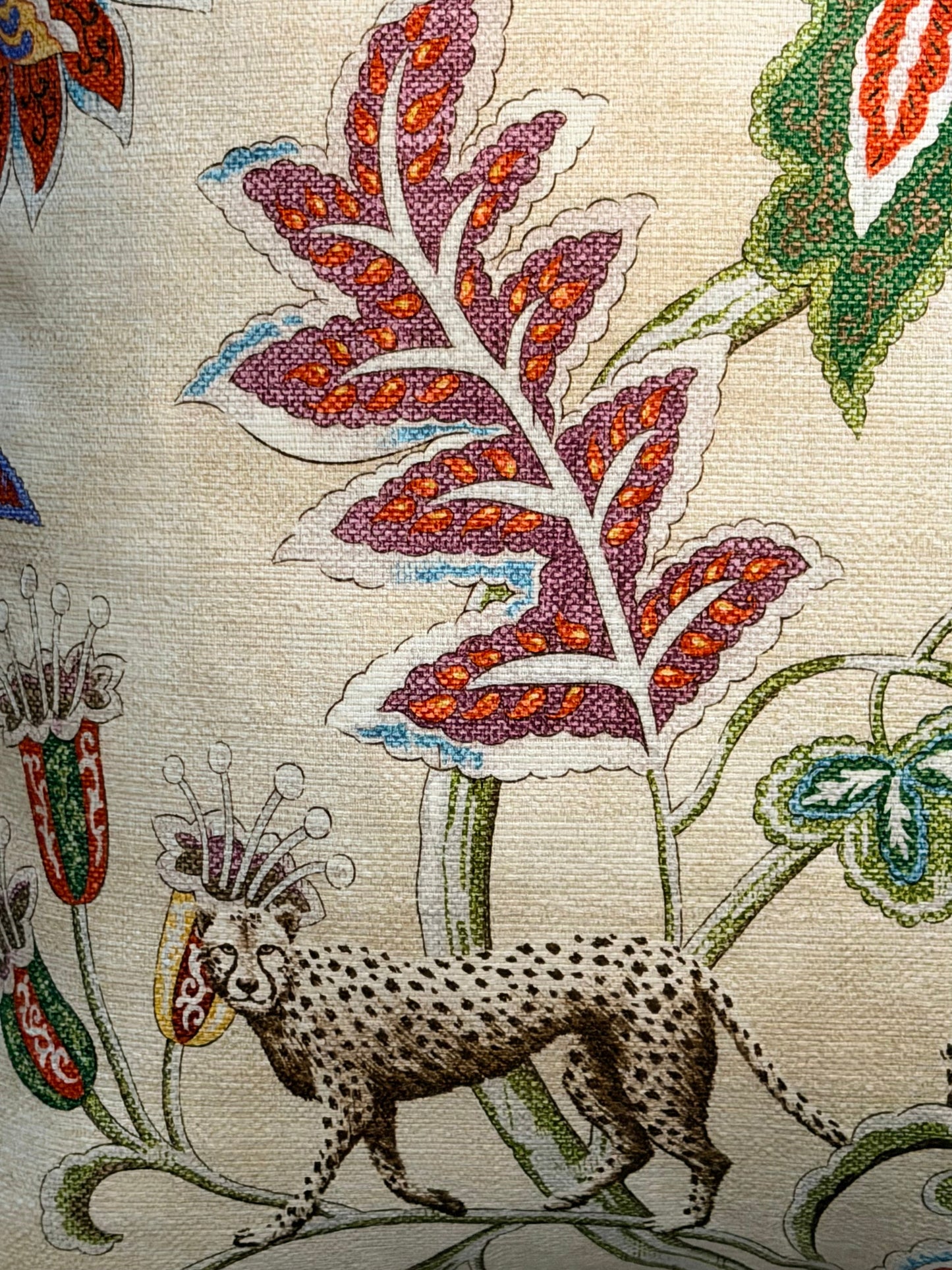 close up of leopard on cushion
