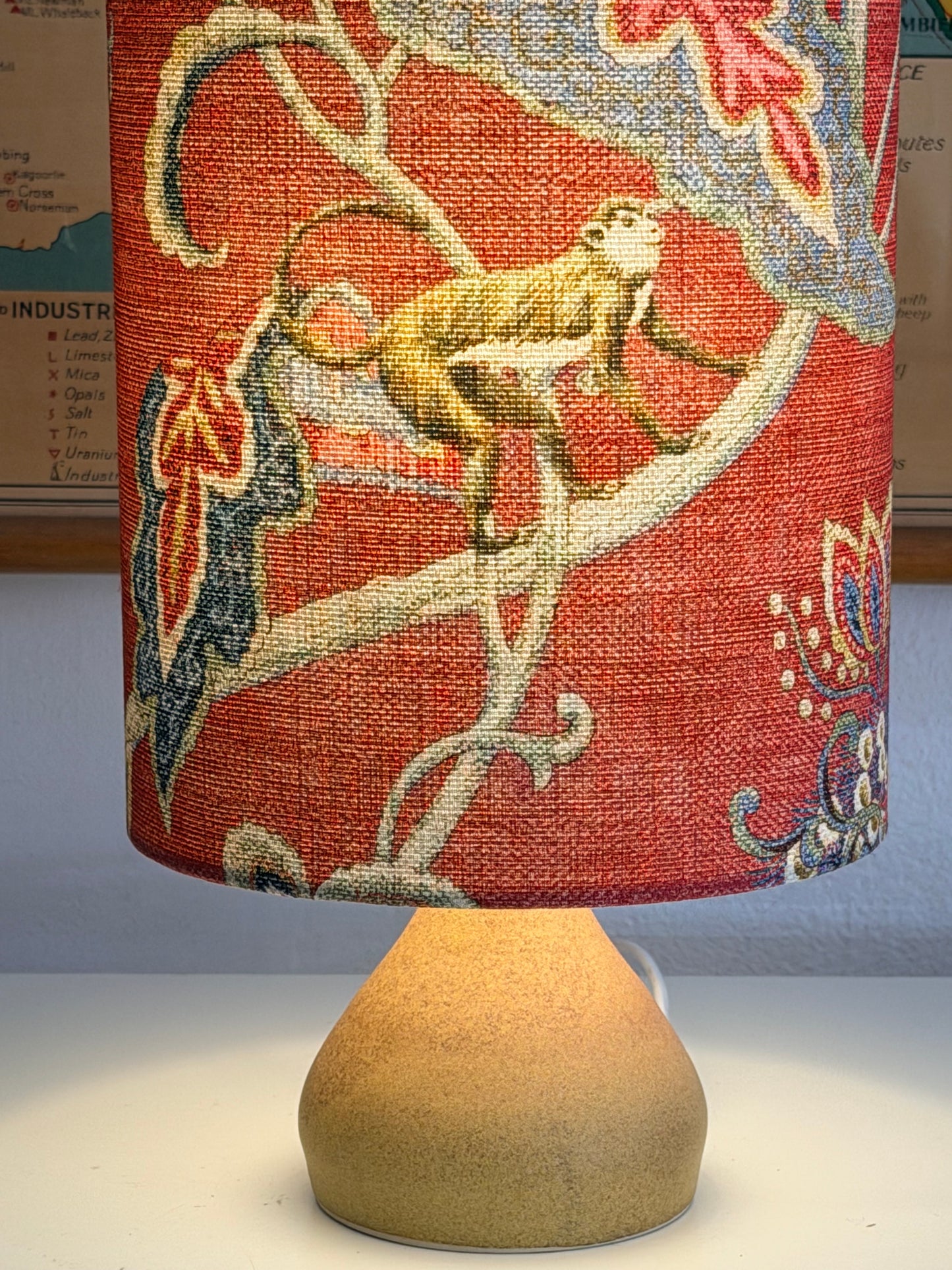 raspberry monkey aj lamp