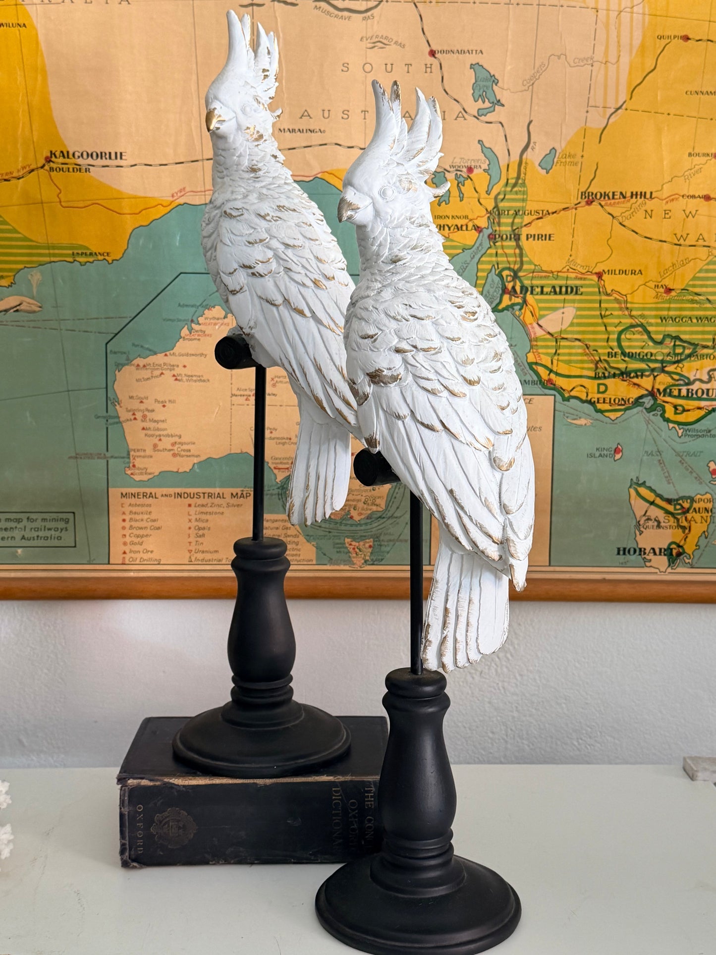 decorative parrots