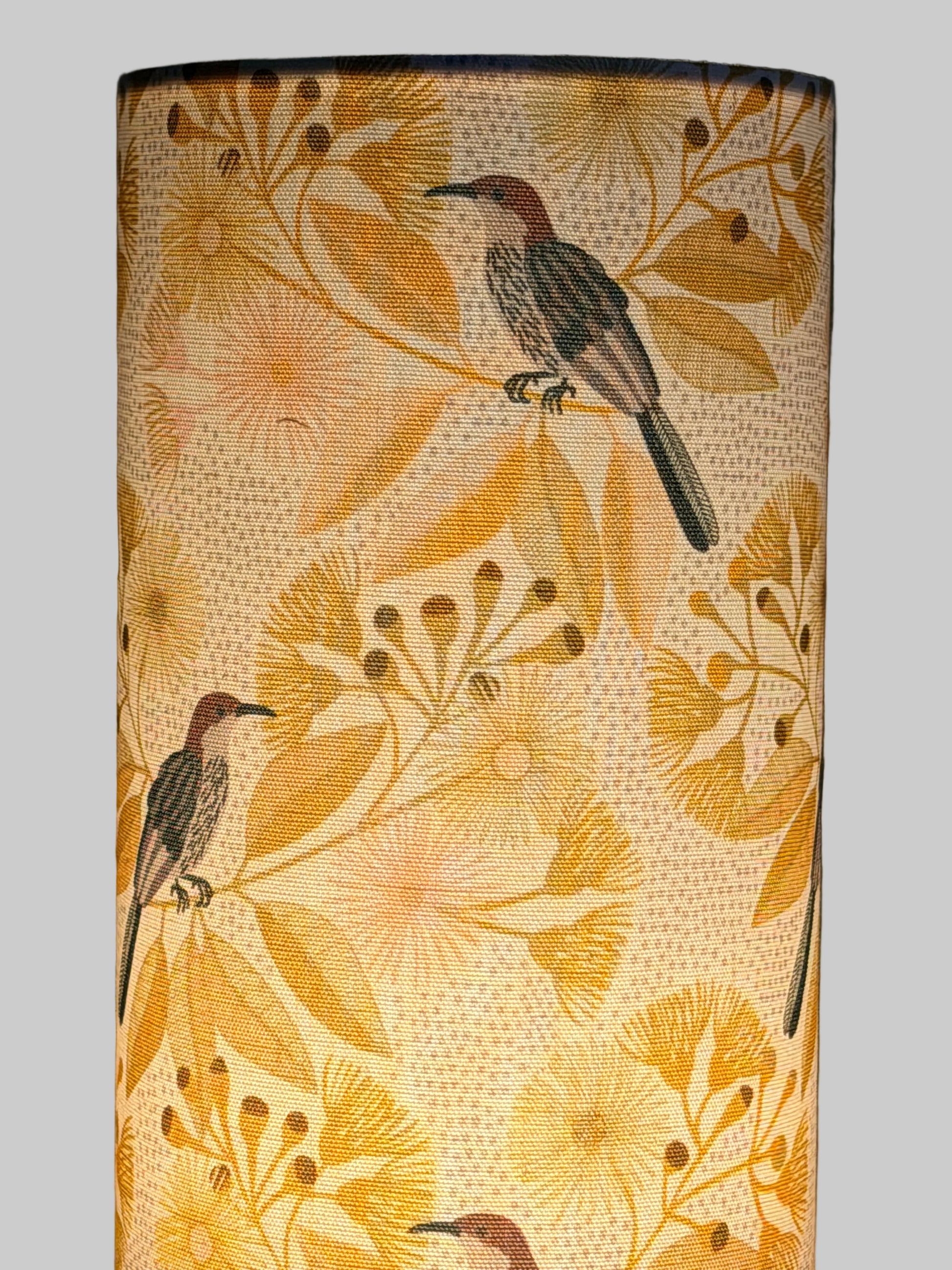 circle lamp honey eater lampshade