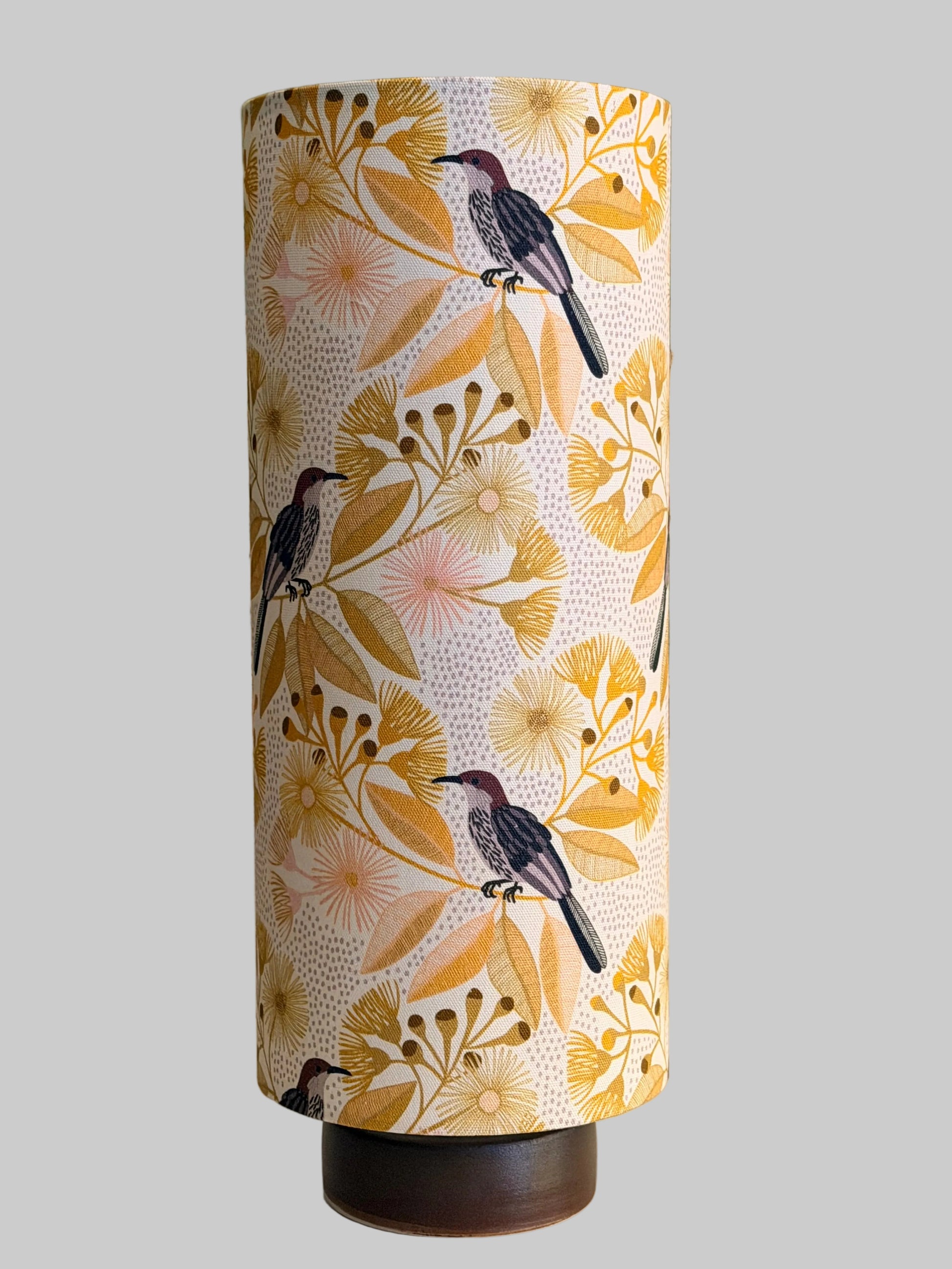 circle lamp honey eater lampshade