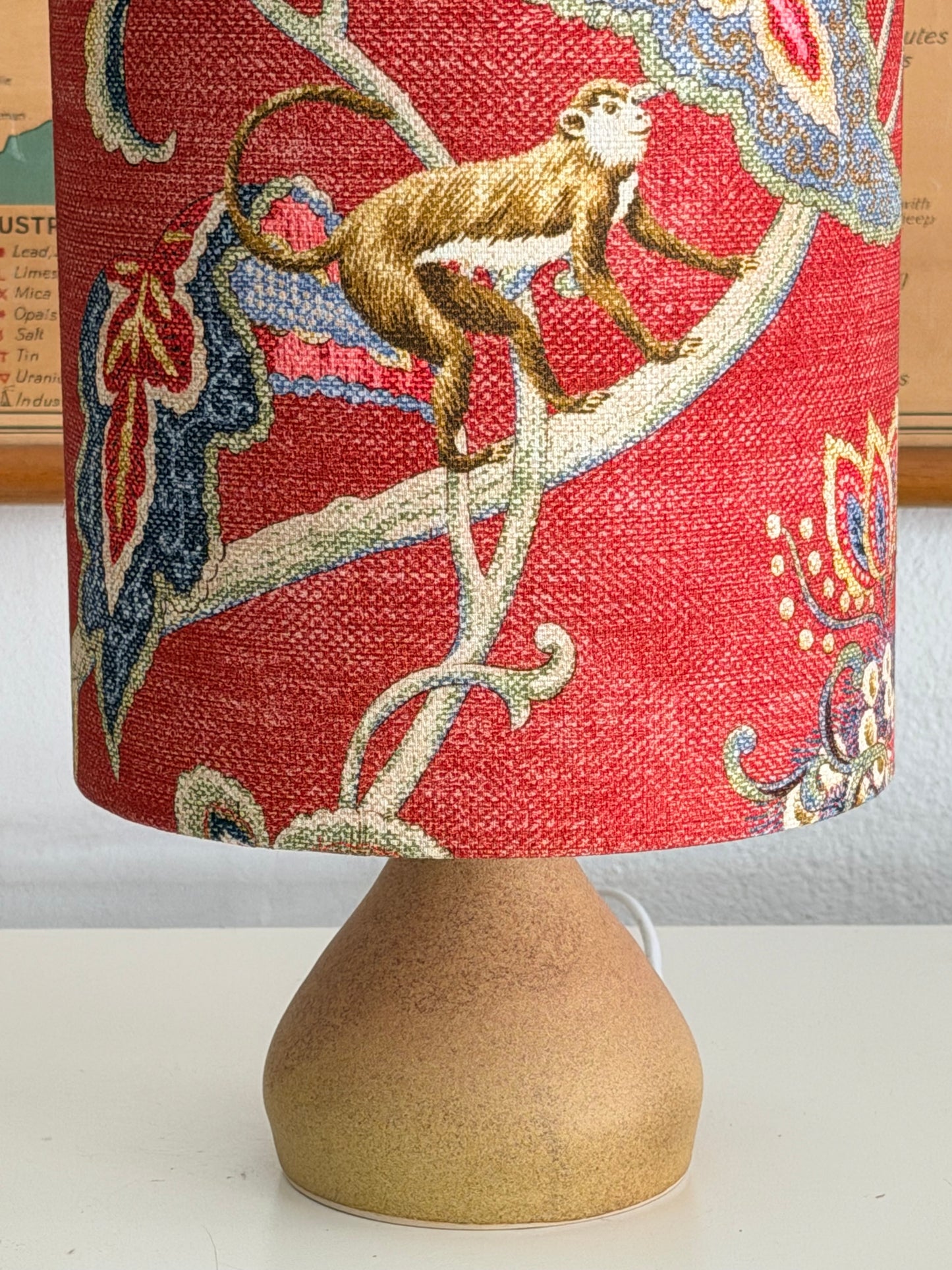 raspberry monkey aj lamp