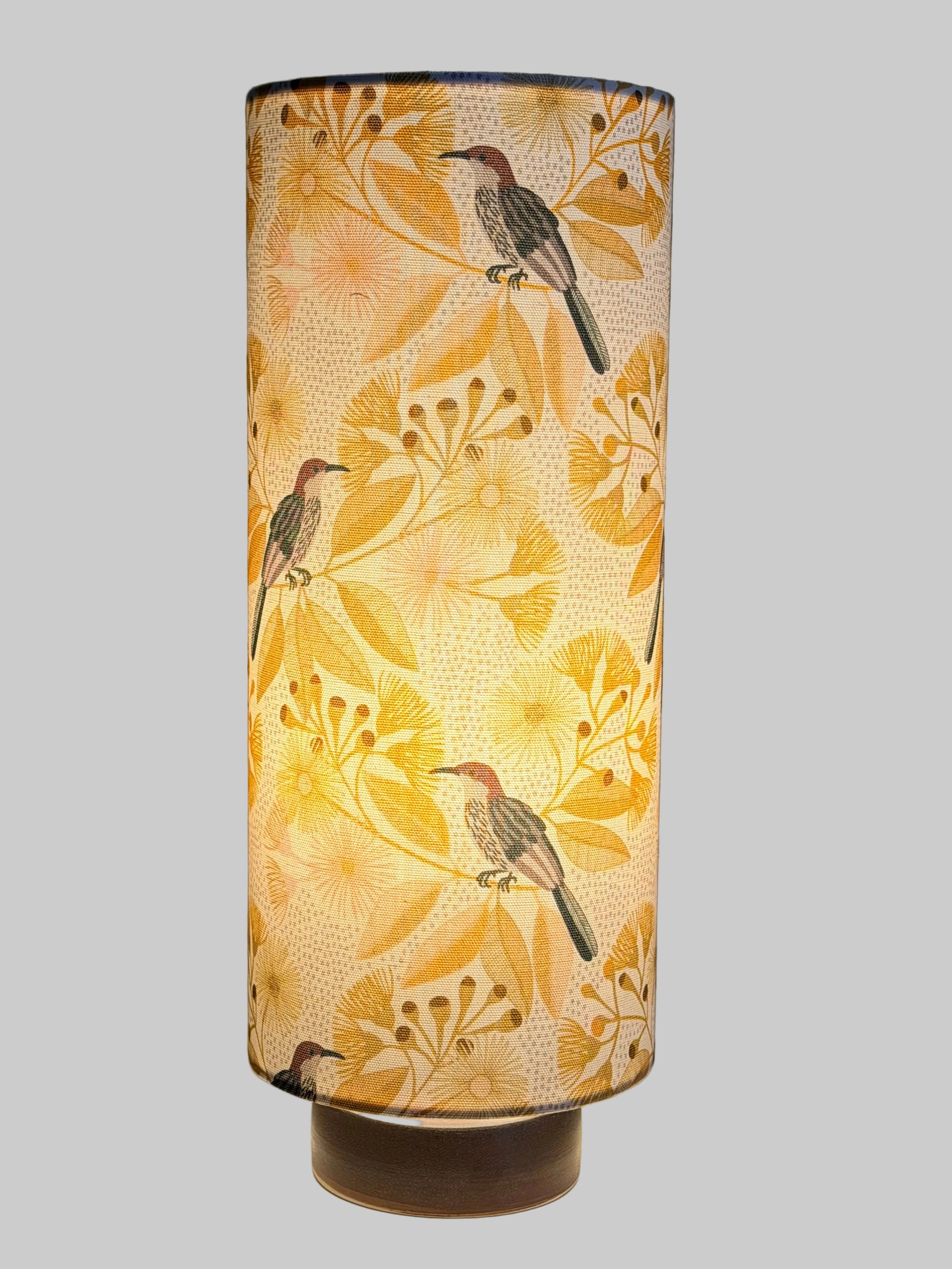 circle lamp honey eater lampshade
