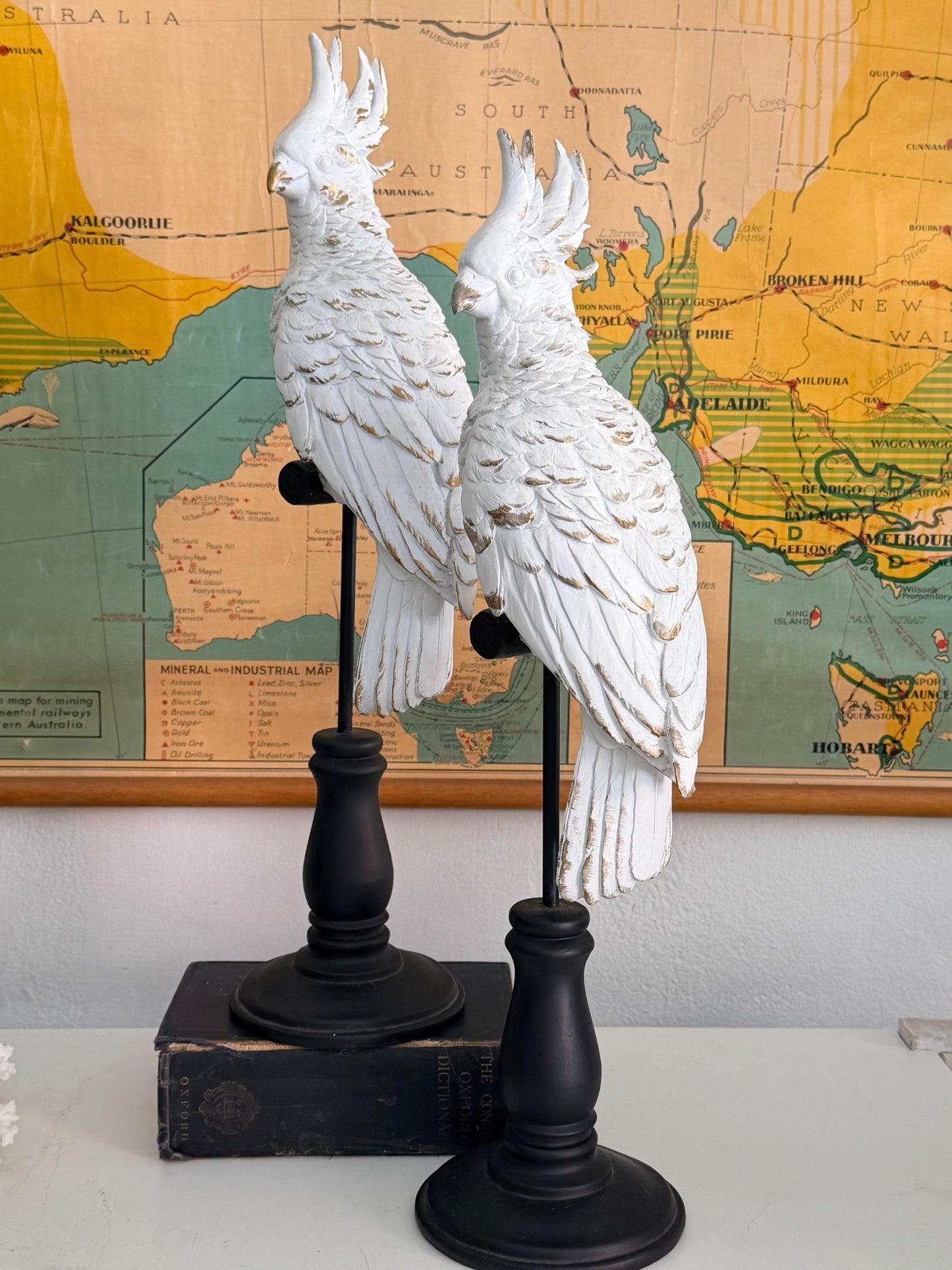 decorative parrots
